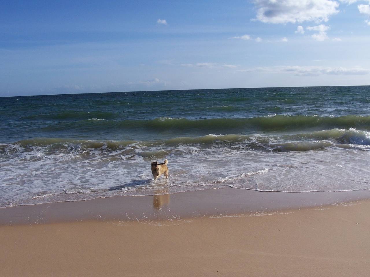 Charmante Villa mit 3 Schlafzimmer und Blick zum Meer in Santa Bárbara de Nexe, Faro