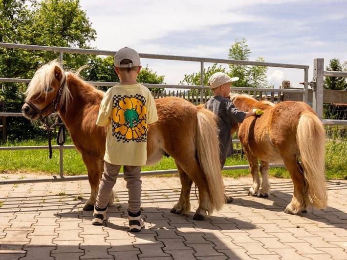 Bauernhof für 4 Personen, mit Pool und Balkon sowie Garten in Landkreis Lindau - 3