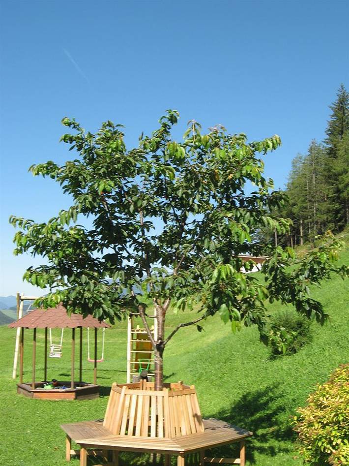 Bauernhof für 4 Personen, mit Garten und Balkon in der Steiermark - 3
