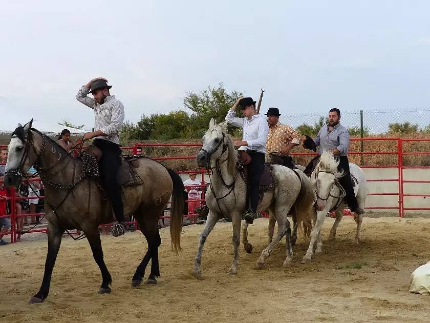 Casa Camarguaise Comfort 3 estancias 4/6 Personas Clima + Tv in Lattes, Côte d'Améthyste
