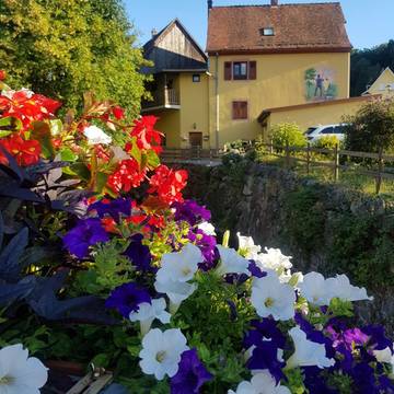 Gîte pour 4 personnes, avec jardin et terrasse à Metzeral