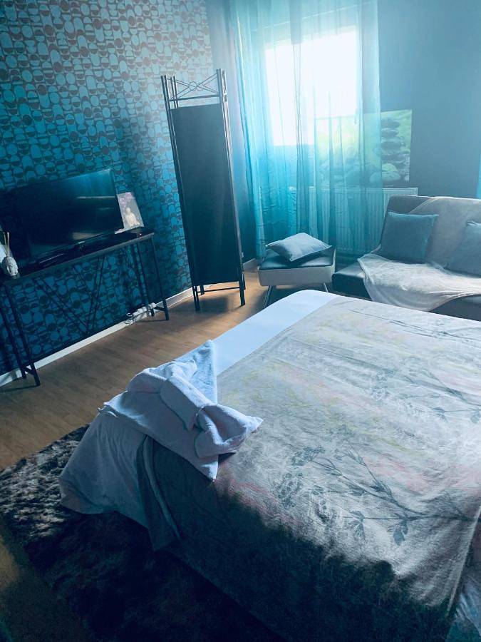 Appartement entier, Square du Château in Schiltigheim, Région de Strasbourg