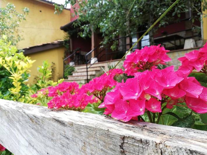 Casa rural para 6 personas, con Balcón y Terraza además de Jardín y Vistas en Pruneda - 4