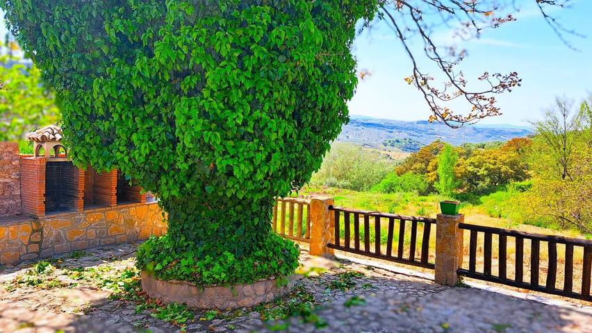 Casa rural para 3 personas, con Terraza además de Jardín y Piscina en Algarinejo - 3