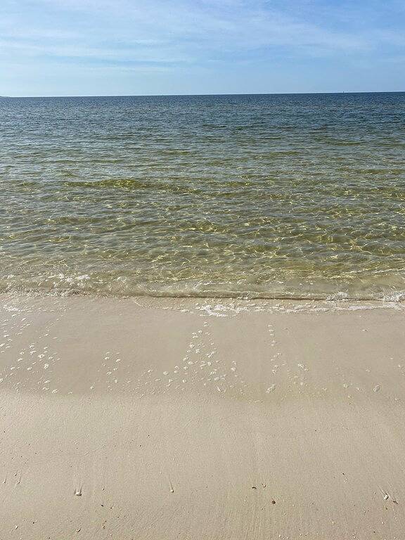 Ganze Wohnung, Walk To The Beach At Beacon Hill. in Saint Joe Beach, Emerald Coast