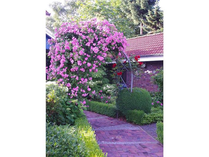 Ferienhaus für 4 Personen, mit Sauna und Garten in Oldenburg - 4