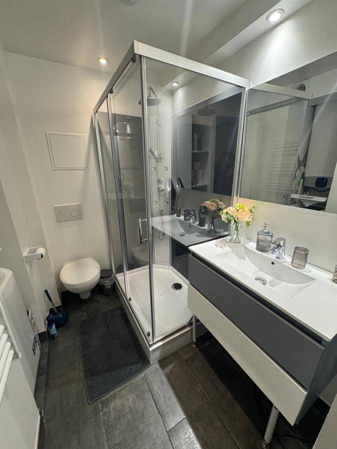 Gîte pour 4 personnes, animaux acceptés dans Roissy-en-Brie - 3