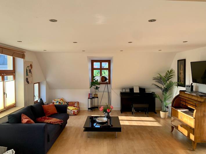 Ganze Ferienwohnung, Ferienloft Am Ziegenmarkt Schwerin in Schwerin, Schweriner See