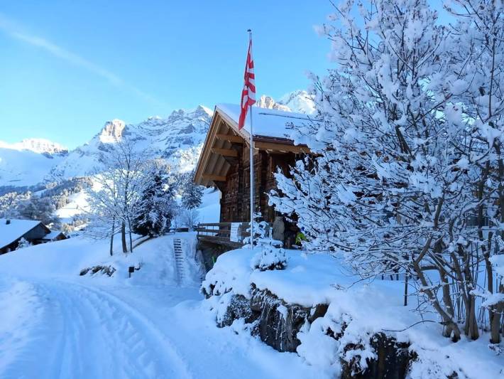 Ferienwohnung für 10 Personen, mit Balkon und Terrasse sowie Garten im Berner Oberland - 4