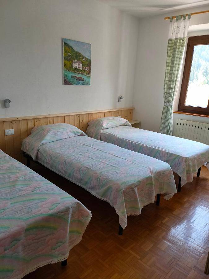 Ferienwohnung für 4 Personen, mit Ausblick und Balkon, mit Haustier in Molveno - 2