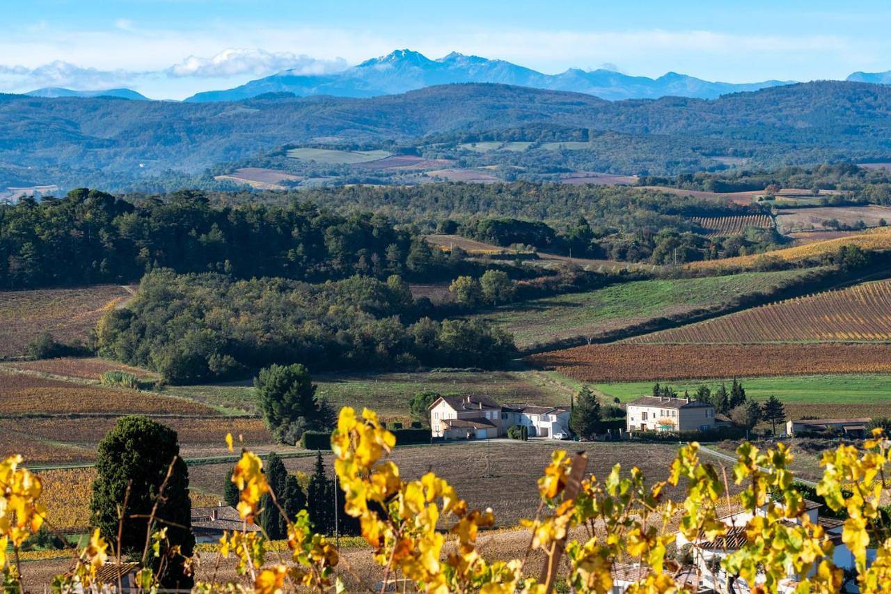 Charme au cœur des vignes in Malras, Région de Limoux