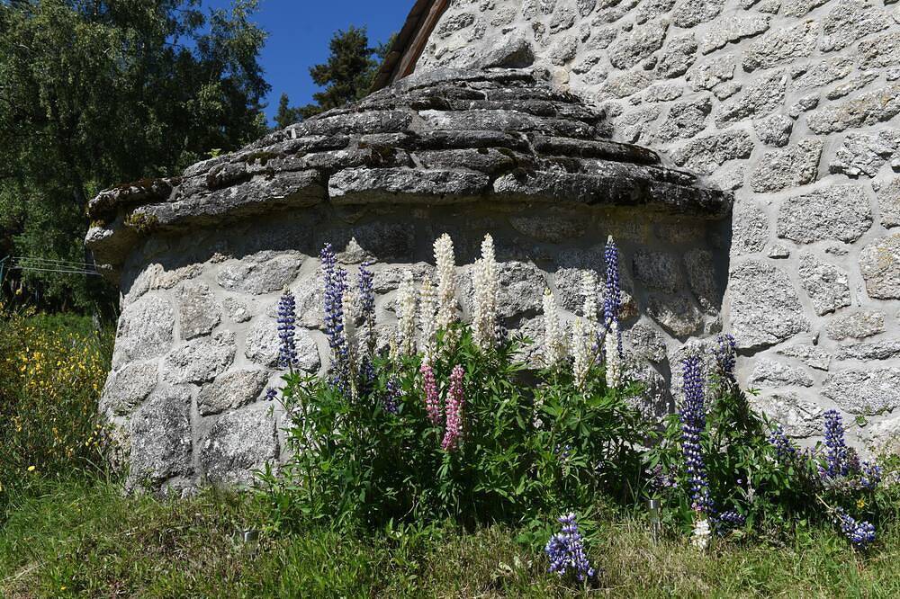 La pequeña casa en la pradera in Saint-Gal, Macizo Central