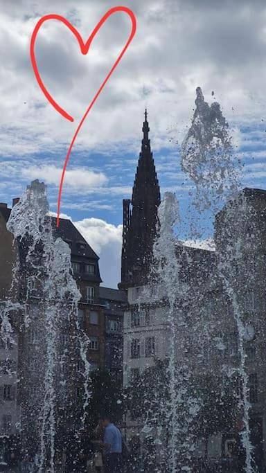 Location de vacances pour 4 personnes, avec jardin, animaux acceptés à Rosheim - 2