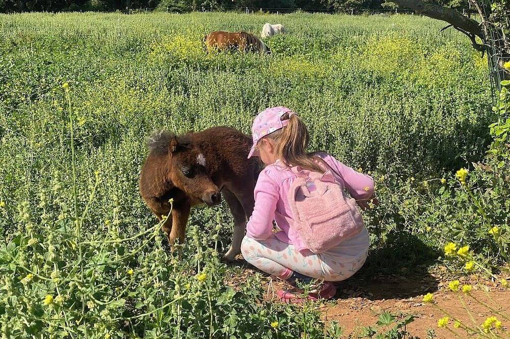 Ganze Wohnung, Studio Maya surrounded by nature and horses in Jouques, Aix-en-Provence und Umgebung