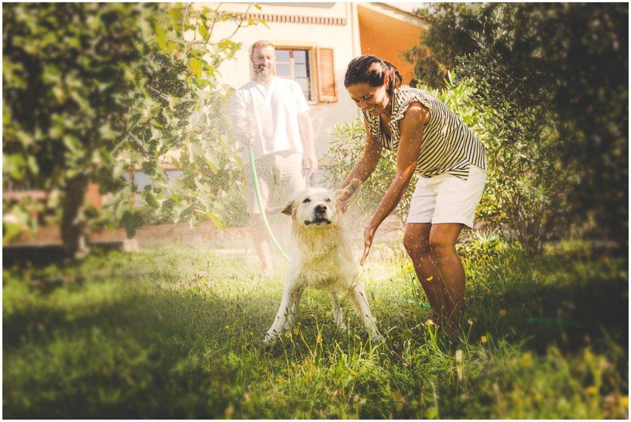Agriturismo Costa Etrusca in San Carlo San Vincenzo, San Vincenzo