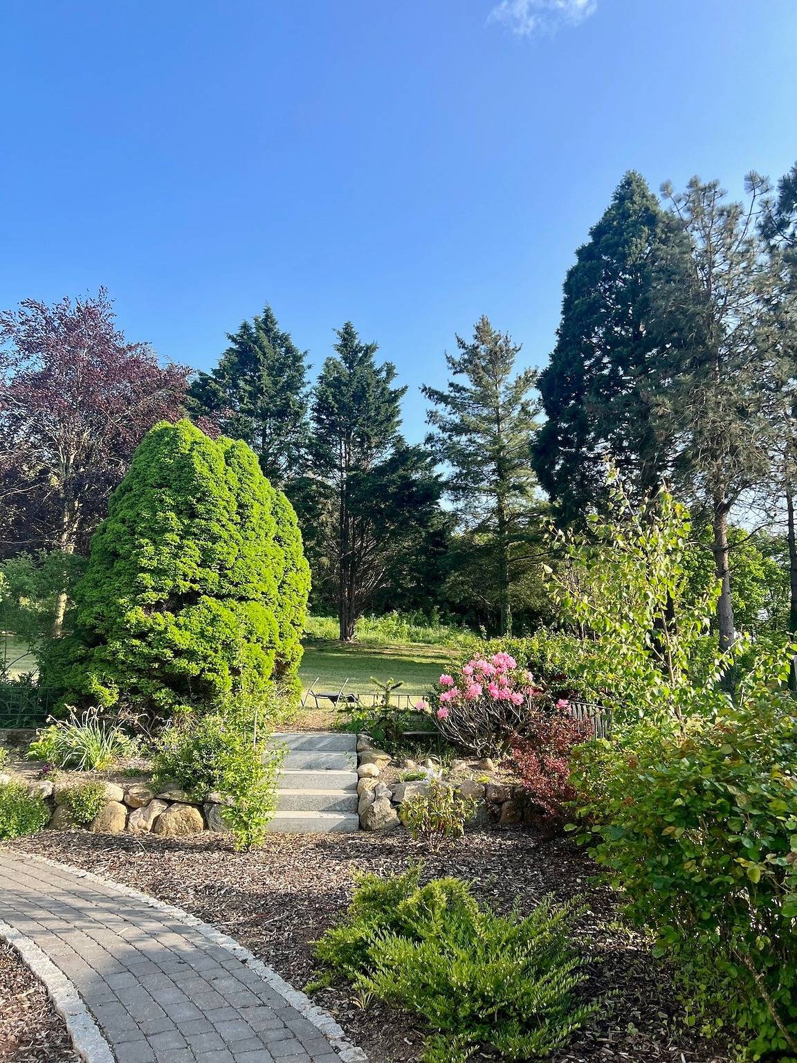 Ganze Ferienwohnung, Naturidyll Mariendorf - Ferienwohnung Mammutbaum in Mariendorf (Rügen), Mönchgut