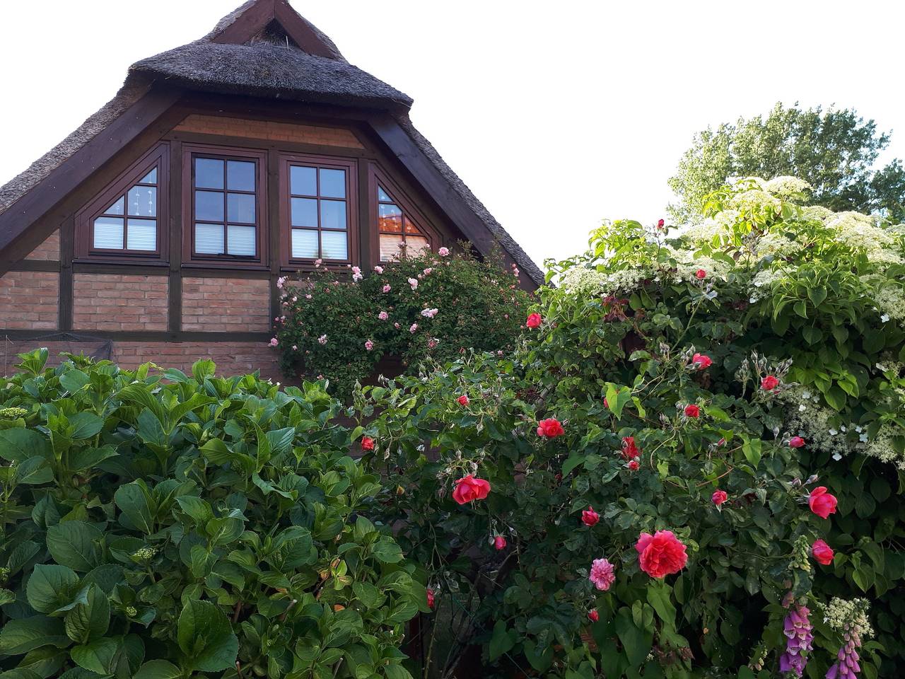 Ganze Ferienwohnung, Darssblick in Bodstedt, Fuhlendorf