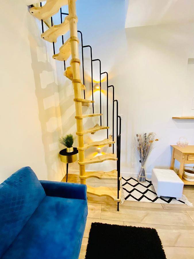 Location de vacances pour 4 personnes, avec terrasse et vue à Fenouillet (Haute-Garonne) - 3