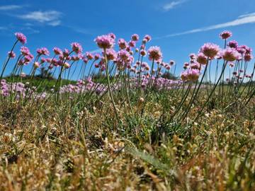 Ferieudlejning til 7 Personer i Thisted, Thy Nationalpark, Billede 1