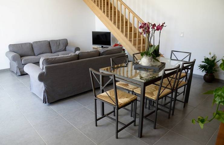 Gîte pour 7 personnes, avec jardin et terrasse à Vienne (France) - 4