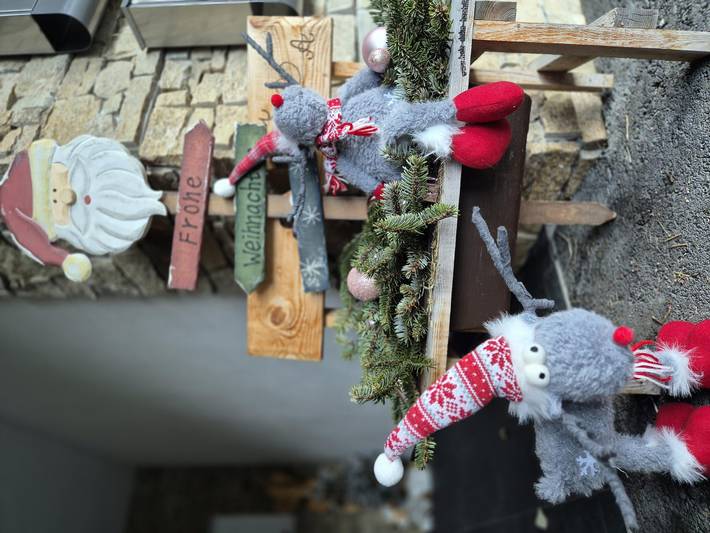 Bauernhof für 4 Personen, mit Garten, mit Haustier in Saalbach-Hinterglemm-Leogang - 4