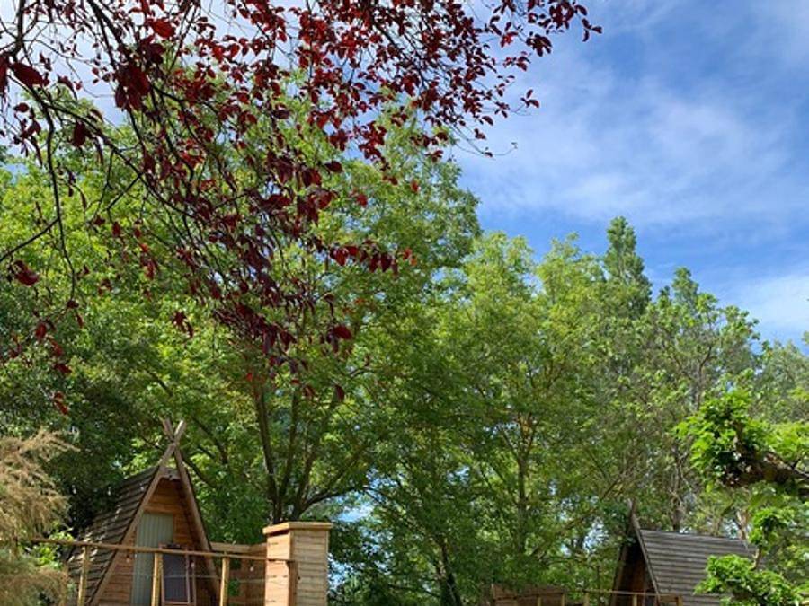 Camping Suze Luxe Nature - Chalet 2 personas - Cabane perchée source - sin ducha - con aseo y cocina in Suze-la-Rousse, Región de Nyons