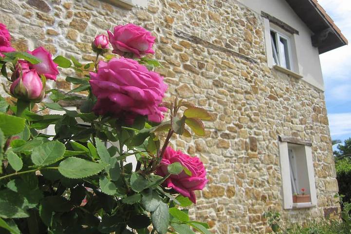 Holiday apartment for 2 people, with garden and terrace - 1