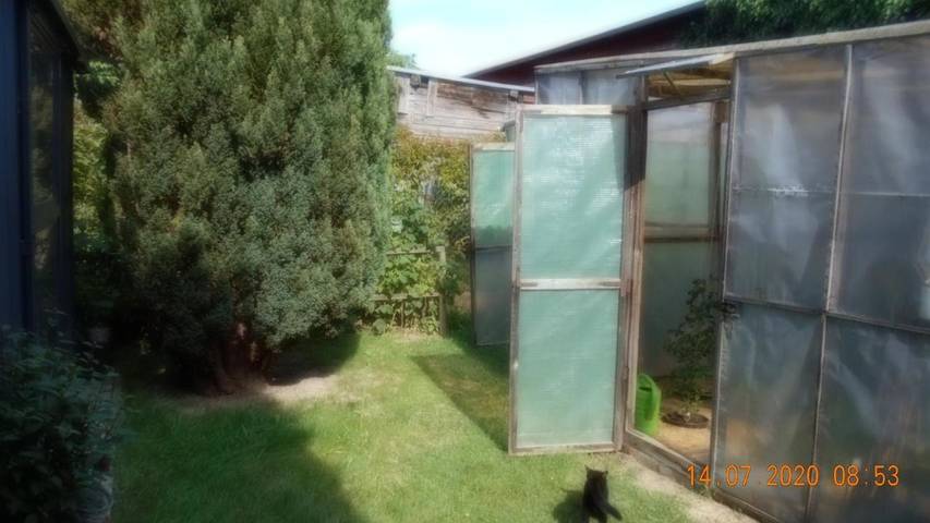 Ferienwohnung für 3 Personen, mit Balkon und Terrasse sowie Garten und Ausblick in Dankerode - 4