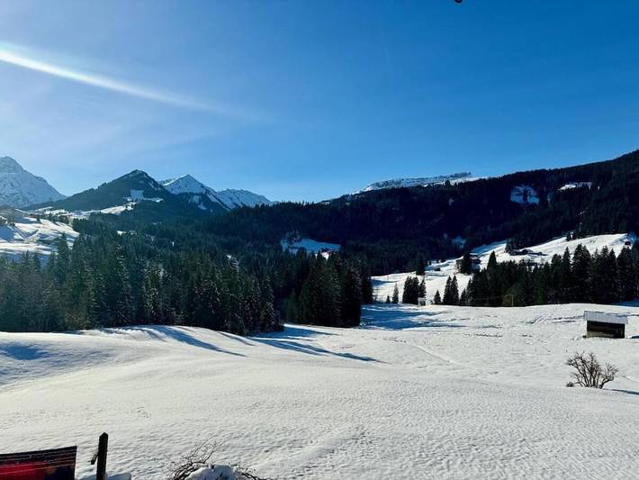 Ferienhaus für 4 Personen, mit Balkon und Garten im Kleinwalsertal - 4