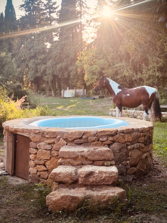 Location de vacances pour 3 personnes, avec Jacuzzi à Puyvert