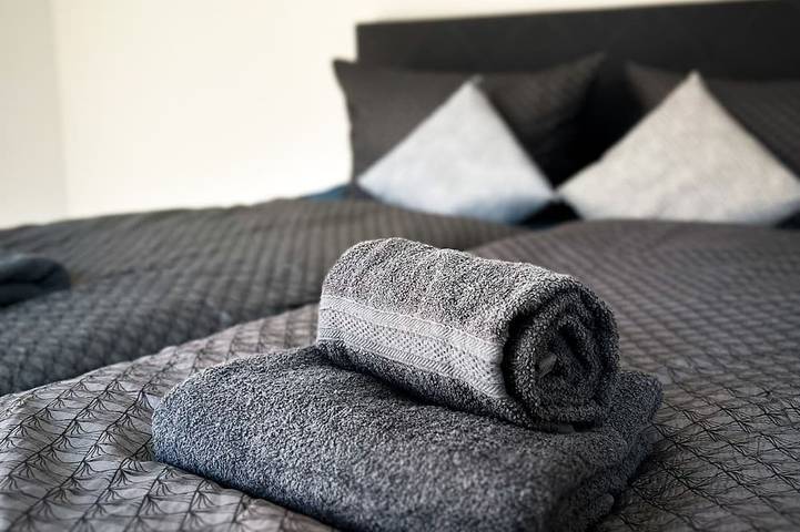 Ferienhaus für 10 Personen, mit Garten und Balkon in Dresden - 3