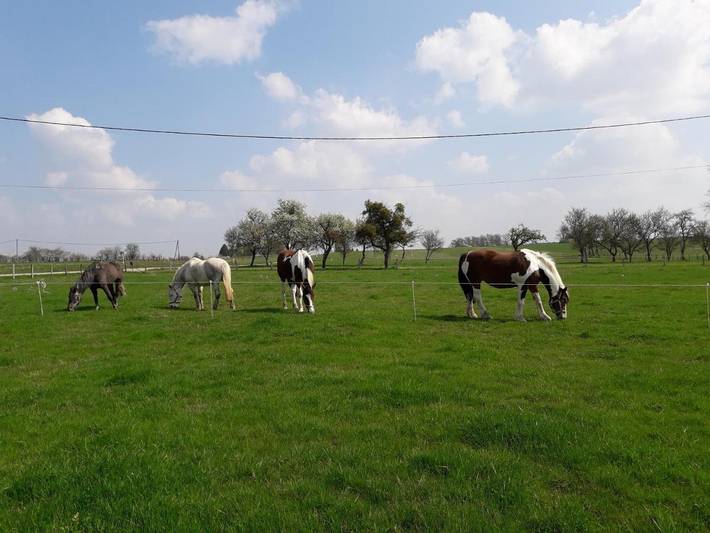 Location de vacances pour 4 personnes, avec Terrasse et Jardin ainsi que Piscine et Vue à Claudon