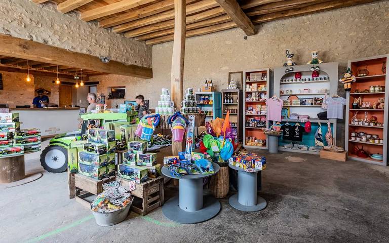 Camping pour 5 personnes, avec terrasse et piscine près des Châteaux de la Loire - 3