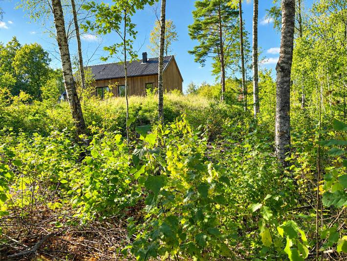 Björkesö – Ihr Ferienhaus am See, mitten in der Natur in Osby, Osby und Umgebung