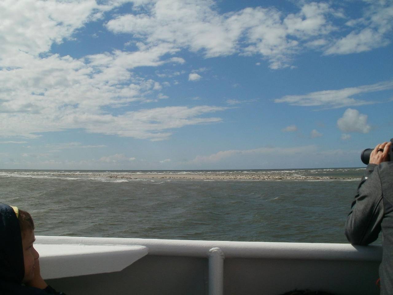 Ganze Ferienwohnung, Fewo "Mühlenblick" mit Terrasse nah am Meer in Pellworm, Nordfriesland