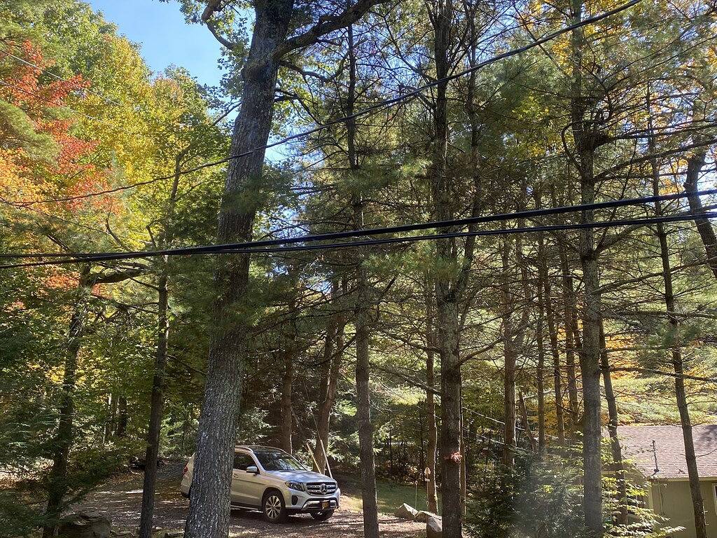 Charming Summer Lake Getaway in Sullivan County