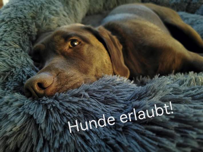 Ferienwohnung für 4 Personen, mit Sauna und Garten sowie Terrasse in Mühlviertel - 3