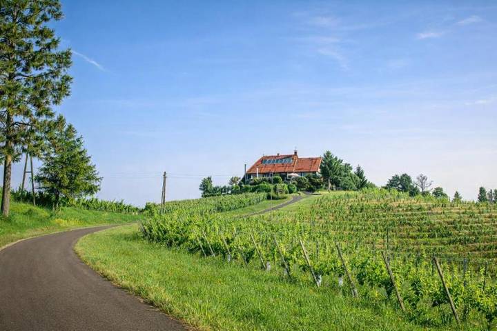 Gîte pour 2 personnes, avec vue et jardin, animaux acceptés dans Ormož - 2