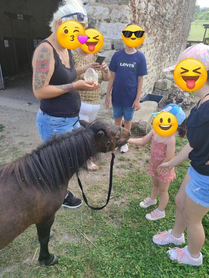Location de vacances pour 2 personnes, avec terrasse et jardin à Bellenaves