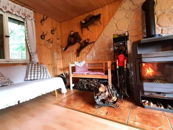 Ferienhaus für 5 Personen, mit Terrasse und Garten sowie Sauna und Ausblick in Thüringer Kernland - 2