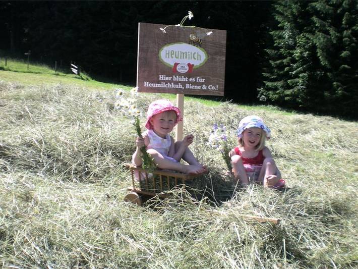 Bauernhof für 4 Personen, mit Garten im Salzkammergut - 4