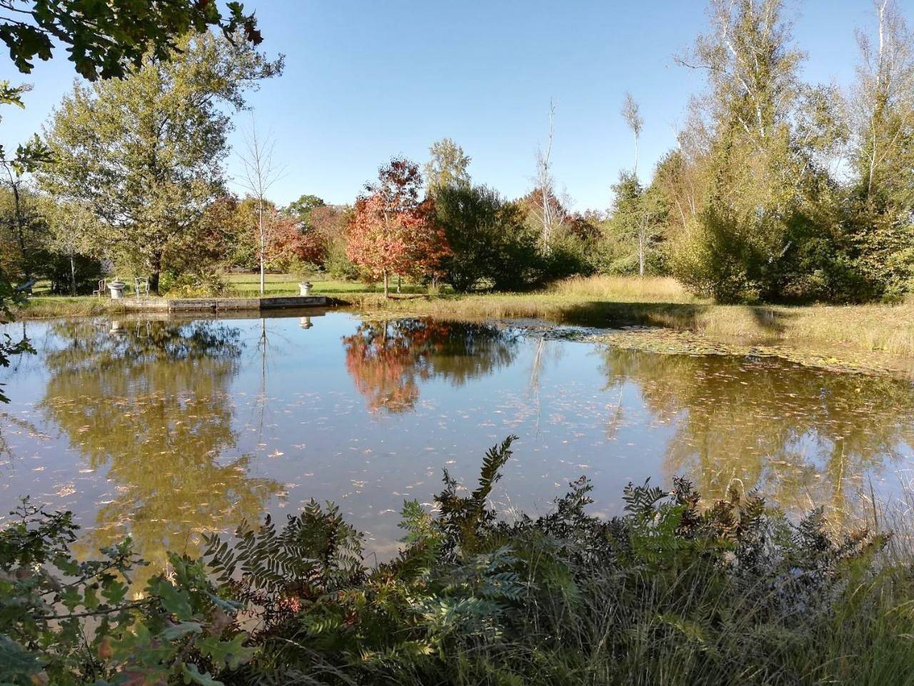 Castel La Bergerie in Laglorieuse, Landes