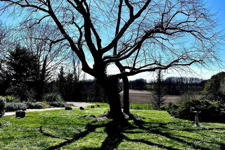 Location de vacances pour 6 personnes, avec piscine à Belvèze - 3