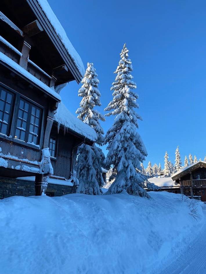 Ferienhaus für 24 Personen, mit Terrasse und Sauna, kinderfreundlich in Trysil - 3