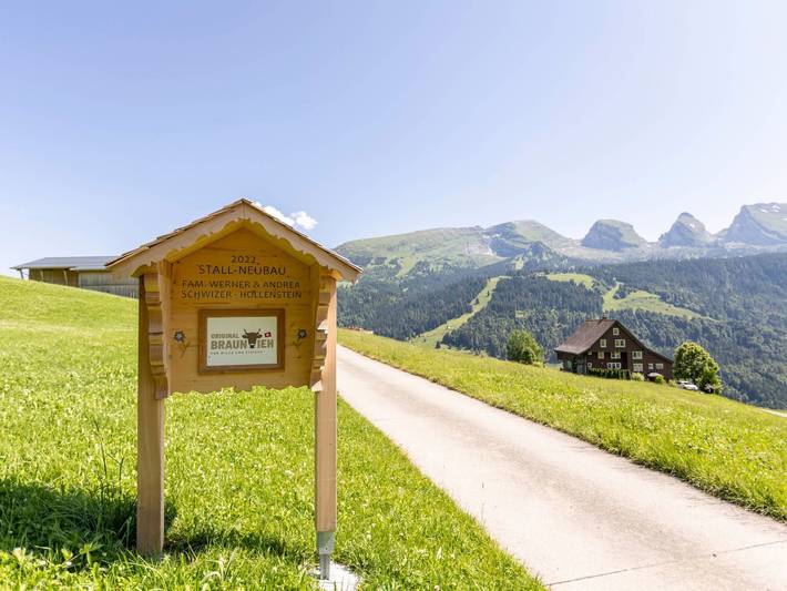Ferienwohnung für 7 Personen, mit Garten, mit Haustier in Wildhaus-Alt St. Johann - 4