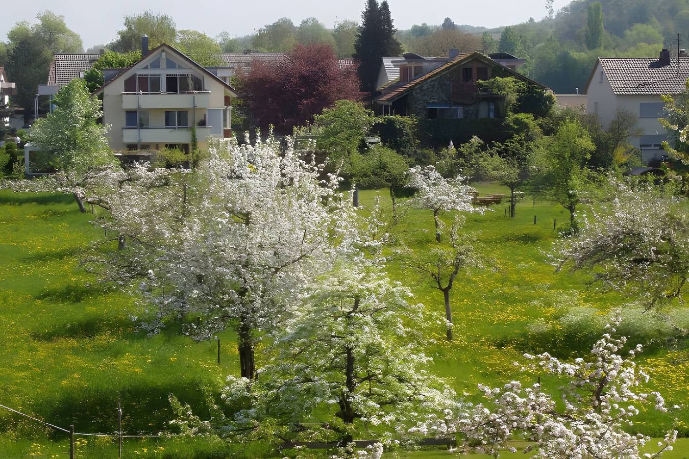 Ganze Ferienwohnung, Gästehaus Lamprecht - Ferienwohnung Typ B 2 in Unteruhldingen, Uhldingen-Mühlhofen