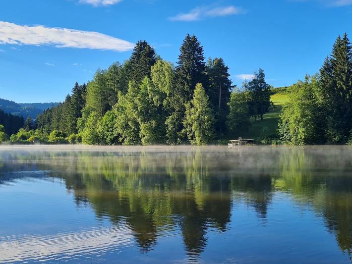 Pension Morhof - Zimmer im Haupthaus in Mühlen, Lavanttaler Alpen