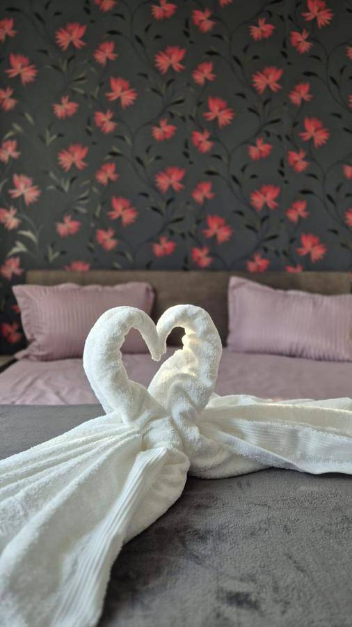 Appartement de vacances pour 4 personnes, avec balcon, animaux acceptés