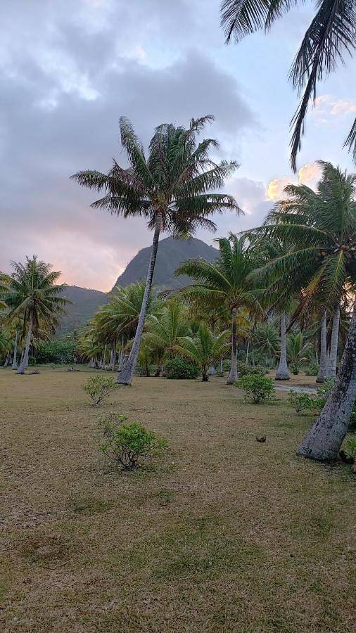 Chambre d’hôte pour 2 personnes, avec jardin et vue dans Huahine - 3