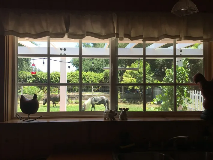 Cottage for 2 people, with yard and terrace - 1